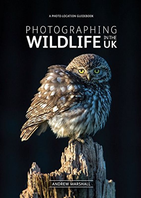 Photographing Wildlife in the UK