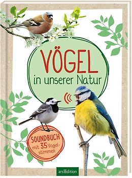Vögel in unserer Natur