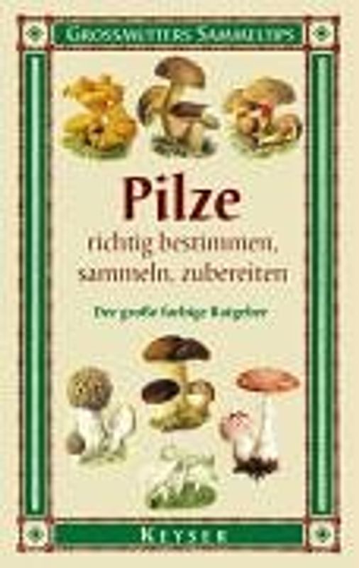 Pilze richtig bestimmen, sammeln, zubereiten