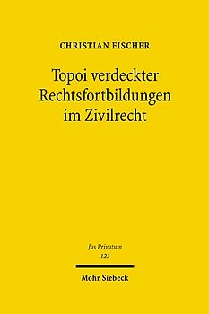 Topoi verdeckter Rechtsfortbildungen im Zivilrecht