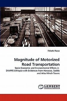 Magnitude of Motorized Road Transportation