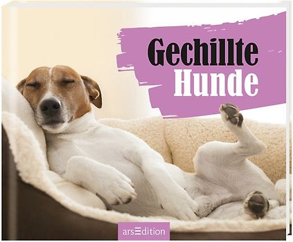 Gechillte Hunde