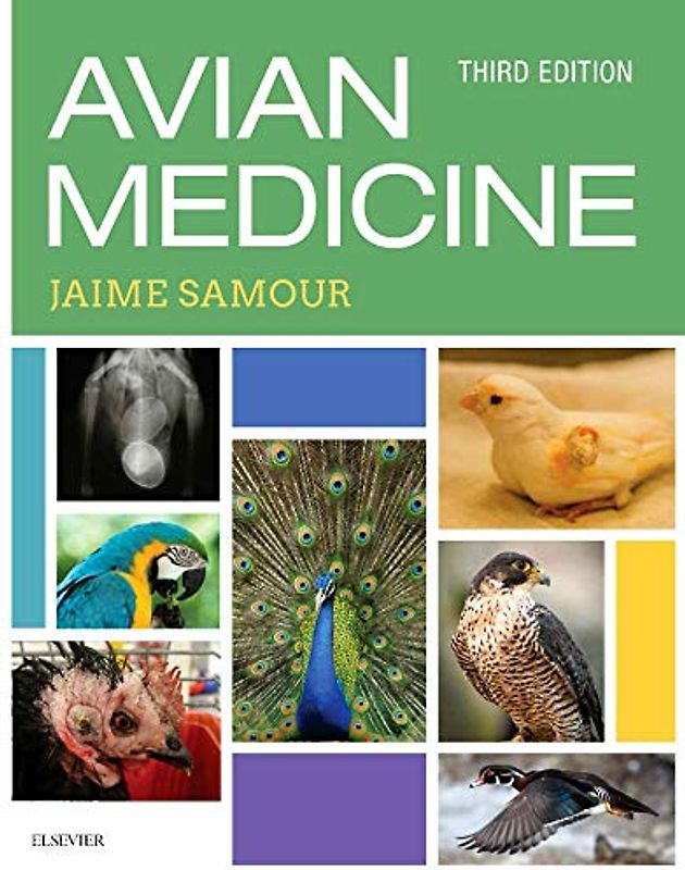 Avian Medicine