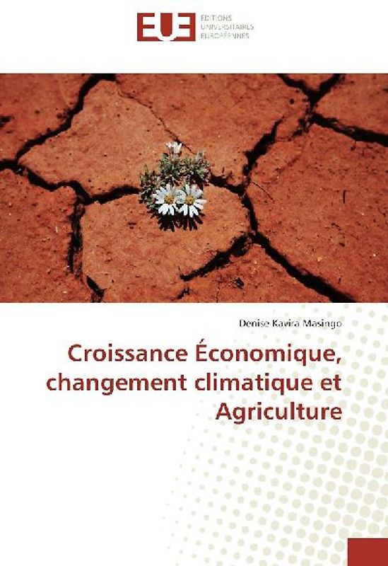 Croissance Économique, changement climatique et Agriculture