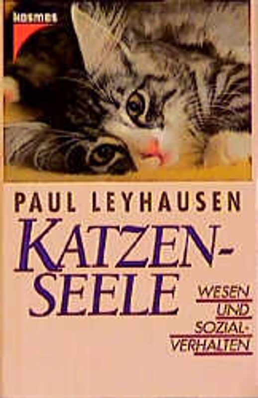 Katzenseele. Wesen und Sozialverhalten