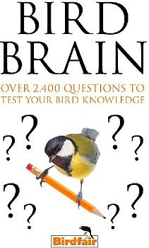 Bird Brain