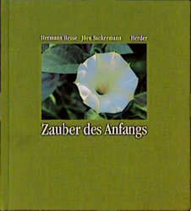 Zauber des Anfangs
