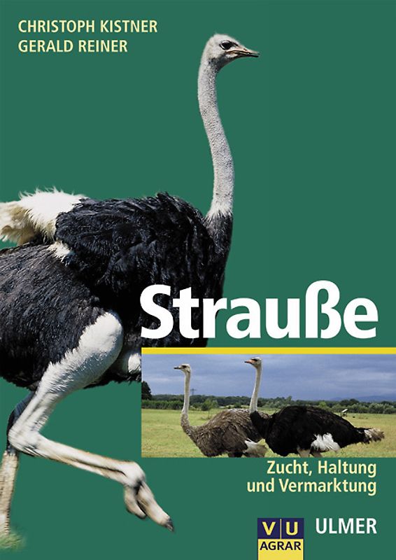 Strausse