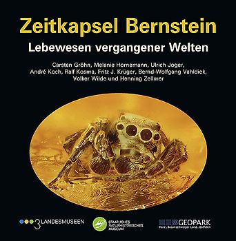 Zeitkapsel Bernstein – Lebewesen vergangener Welten