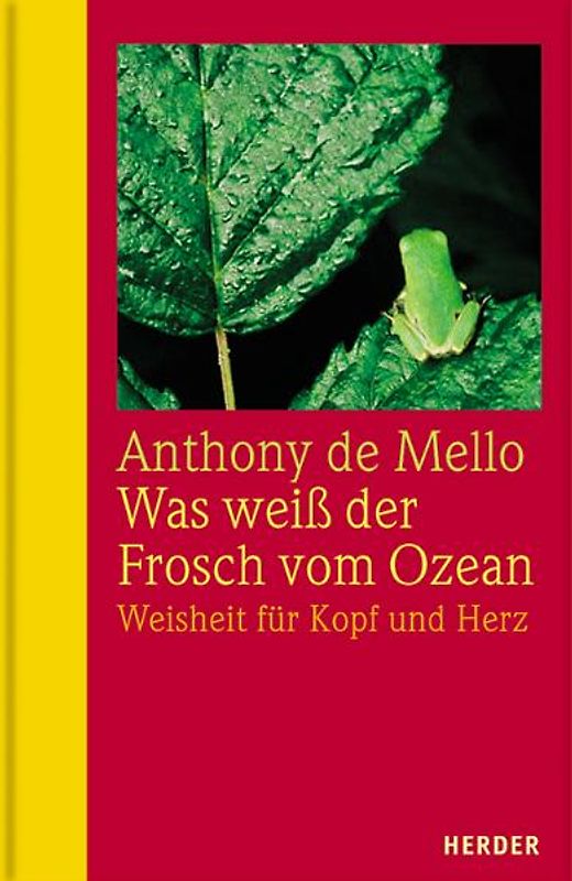 Was weiß der Frosch vom Ozean