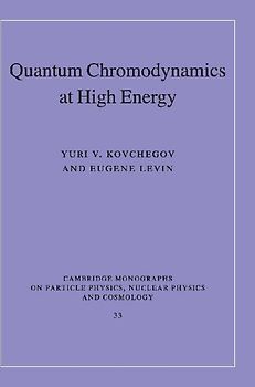 Quantum Chromodynamics at High Energy