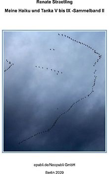 Meine Haiku und Tanka V bis IX - Sammelband II