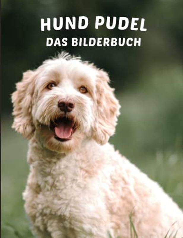 Hund Pudel Das Bilderbuch: Das Bilderbuch des erstaunlichen Hundes Pudel für Senioren, demente Hundeliebhaber, Erwachsene mit Alzheimer und zur ... die unter Gedächtnisverlust leiden.