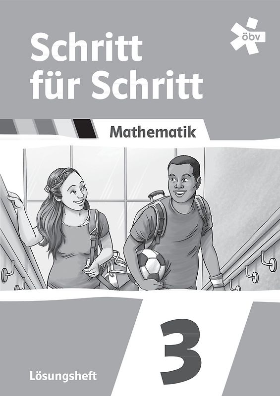 Schritt für Schritt Mathematik 3, Lösungen