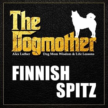 The Dogmother: Finnish Spitz: (Dog Mom Wisdom & Life Lessons)