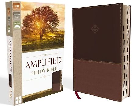 The Amplified Study Bible, Leathersoft, Brown, Thumb Indexed