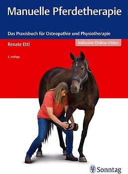 Manuelle Pferdetherapie