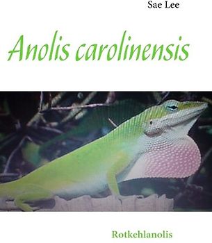 Anolis carolinensis