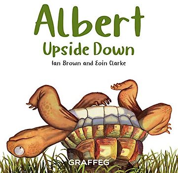 Albert Upside Down (Albert the Tortoise)
