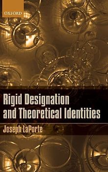 Rigid Designation and Theoretical Identities