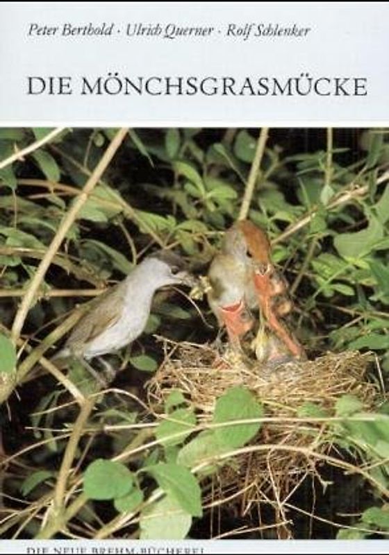 Die Mönchsgrasmücke. Sylvia atricapilla
