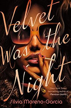 Velvet Was the Night: A Novel