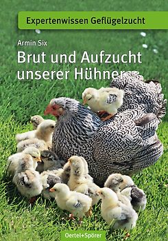 Brut und Aufzucht unserer Hühner