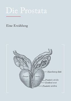 Die Prostata