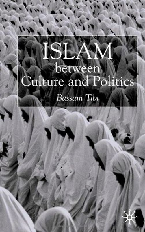 Islam Between Culture and Politics
