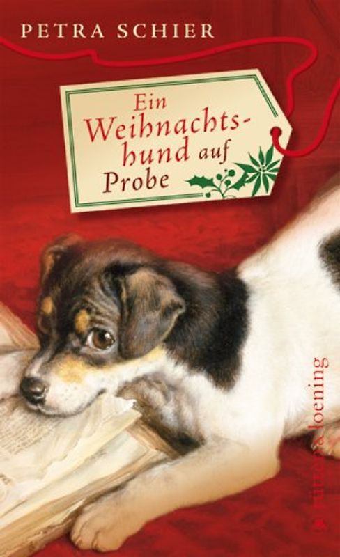 Ein Weihnachtshund auf Probe