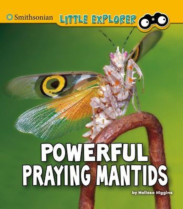 Powerful Praying Mantids