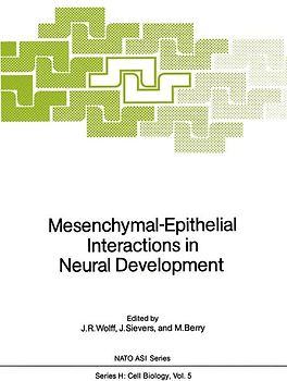 Mesenchymal-Epithelial Interactions in Neural Development