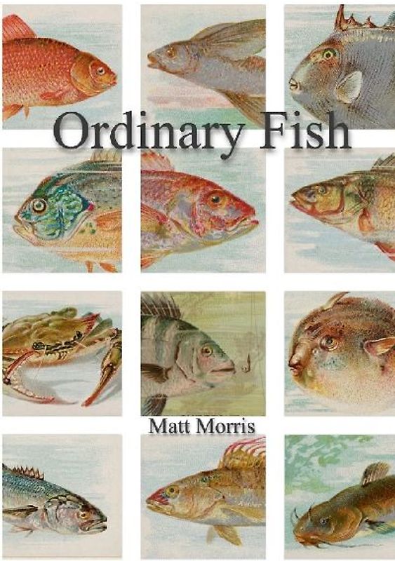 Ordinary Fish/Watt Worris