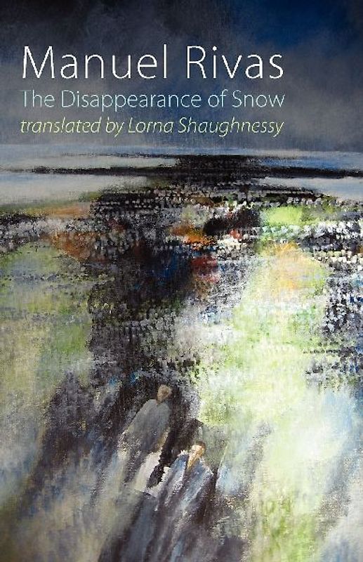 The Disappearance of Snow