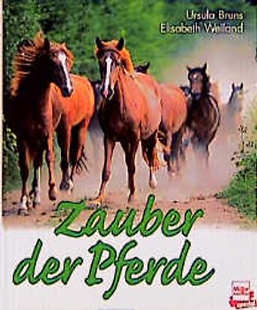 Zauber der Pferde