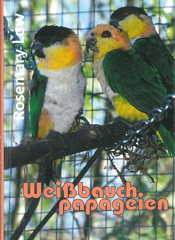 Weissbauchpapageien