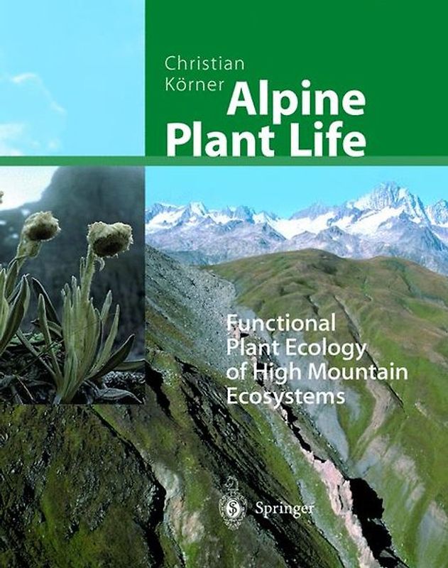 Alpine Plant Life