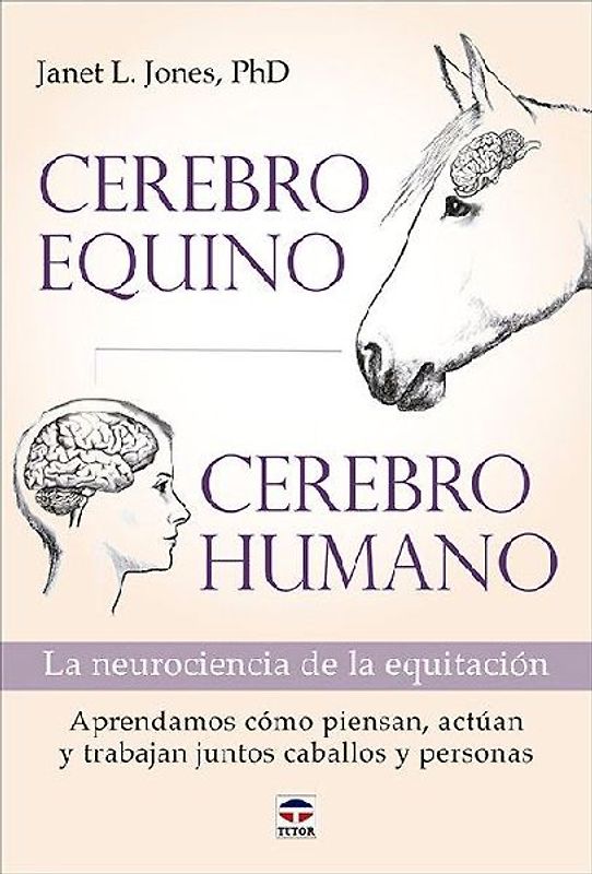 Cerebro equino, cerebro humano
