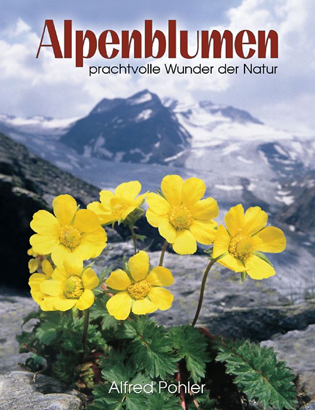 Alpenblumen