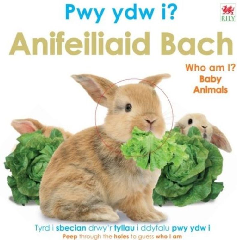 Pwy Ydw i? Anifeiliaid Bach / Who Am I? Baby Animals
