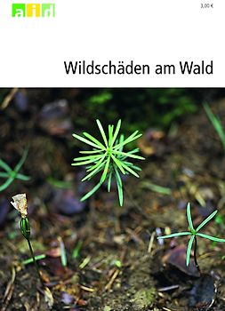 Wildschäden am Wald