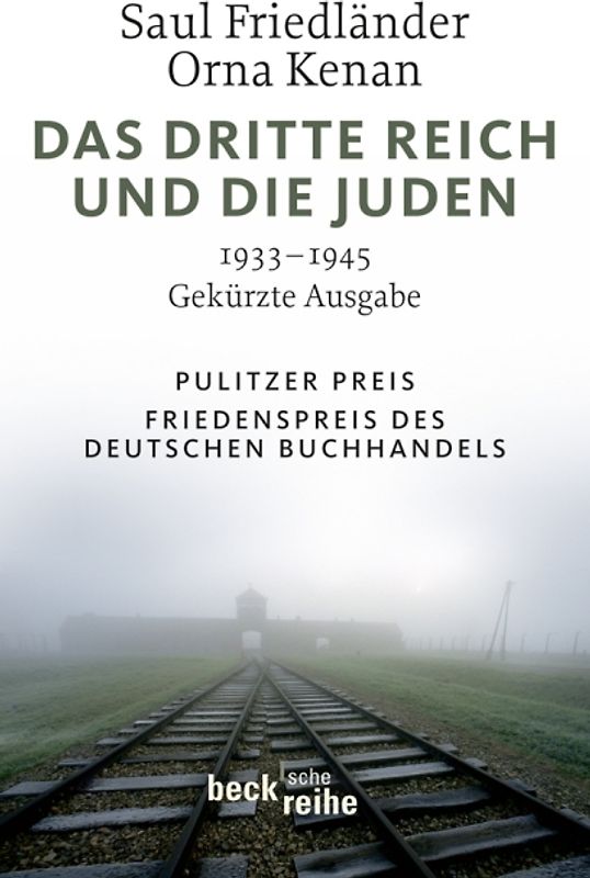 Das Dritte Reich und die Juden