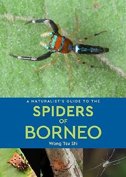 A Naturalist's Guide to the Spiders of Borneo