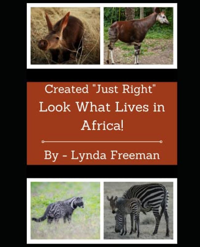 Created "Just Right" - Look What Lives in Africa!