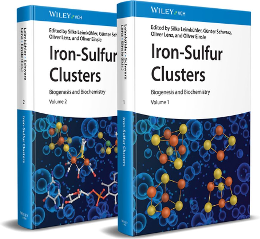 Iron-Sulfur Clusters