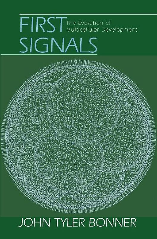 First Signals