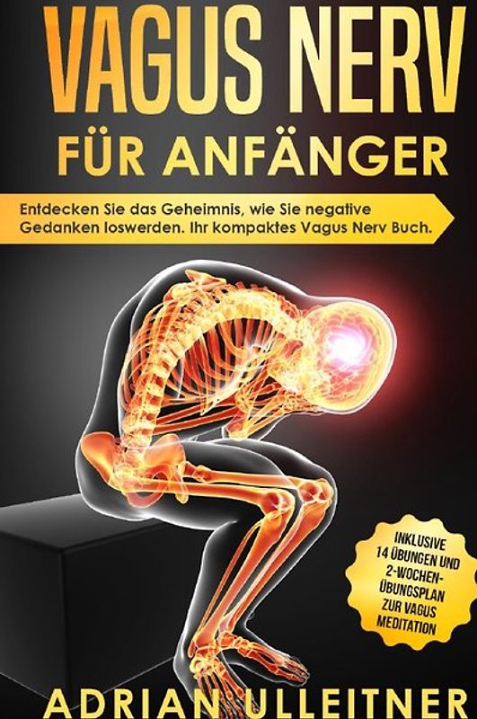 Vagus Nerv für Anfänger.