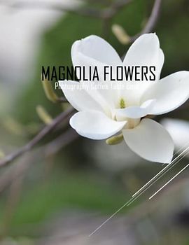 MAGNOLIA FLOWERS Photography Coffee Table Book: Magnolia Flowers Photography Coffee Table Book for All: An Amazing Group Of Pictures For Relaxing & ... Images (8.5"*11") Paperback May 27,2023 .