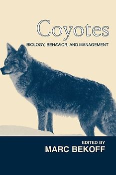 Coyotes