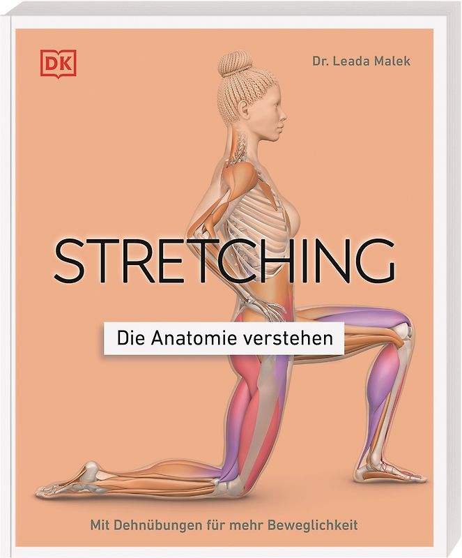 Stretching - Die Anatomie verstehen